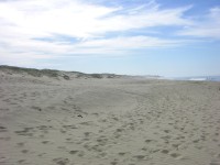 dscn1950.jpg