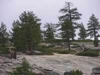 dscn1960.jpg