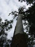 dscn1972.jpg