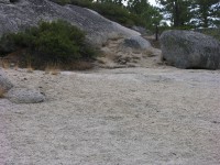 dscn1975.jpg
