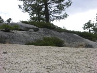 dscn1976.jpg