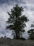 dscn1981.jpg