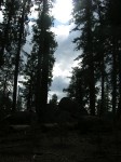 dscn2005.jpg