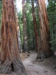dscn2037.jpg