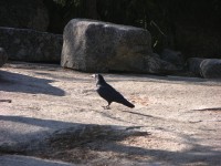 dscn2058.jpg