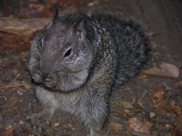 dscn2070.jpg