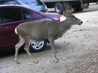 dscn2075.jpg