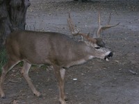 dscn2081.jpg