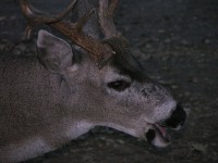 dscn2082.jpg