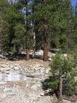 dscn2084.jpg
