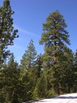 dscn2085.jpg