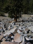 dscn2086.jpg