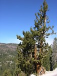 dscn2089.jpg