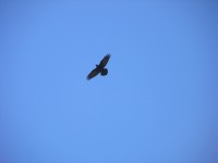 dscn2090.jpg