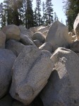 dscn2094.jpg