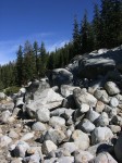 dscn2095.jpg