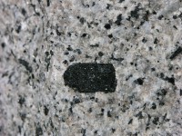 dscn2100.jpg