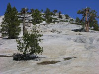 dscn2105.jpg