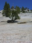 dscn2106.jpg