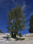 dscn2108.jpg