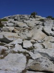dscn2113.jpg
