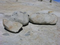 dscn2120.jpg