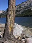 dscn2123.jpg