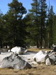 dscn2128.jpg