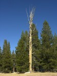 dscn2130.jpg