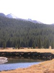 dscn2136.jpg