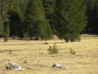 dscn2146.jpg