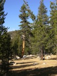 dscn2148.jpg