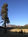 dscn2151.jpg