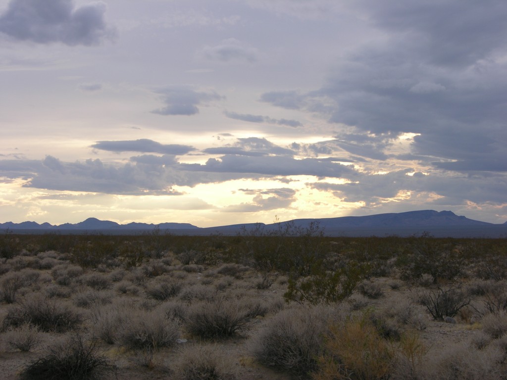 dscn2677.jpg
