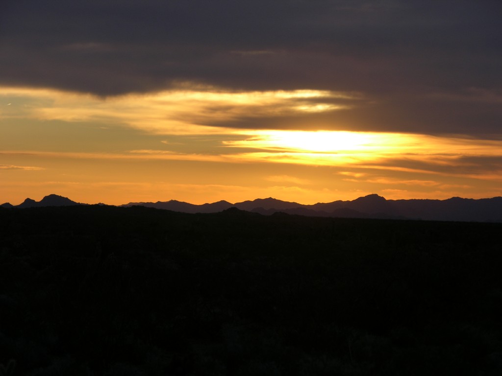 dscn2681.jpg