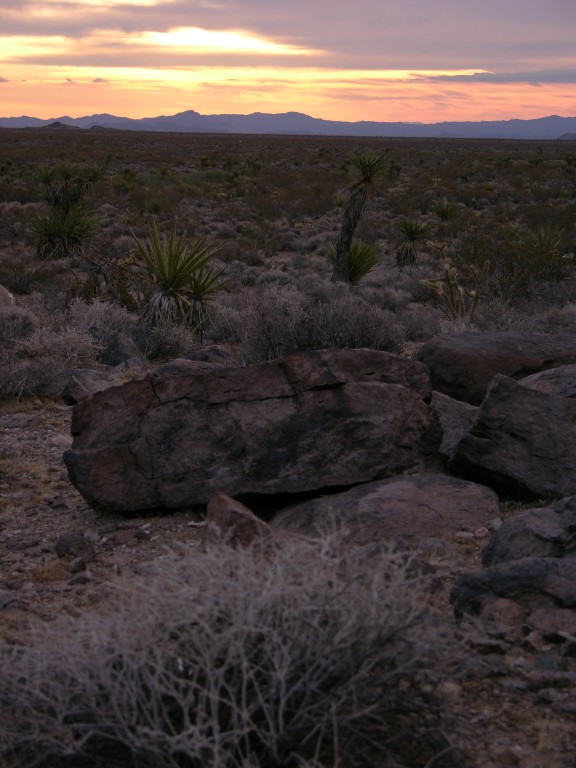 dscn2686.jpg