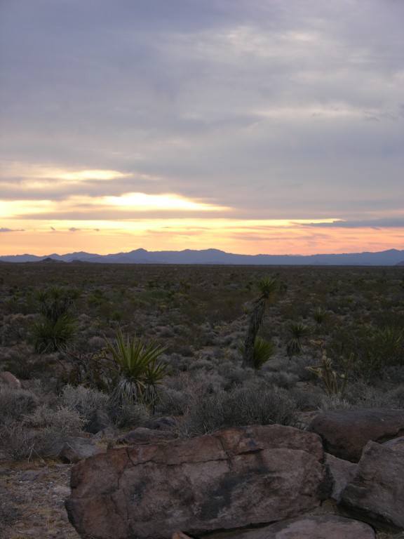 dscn2687.jpg