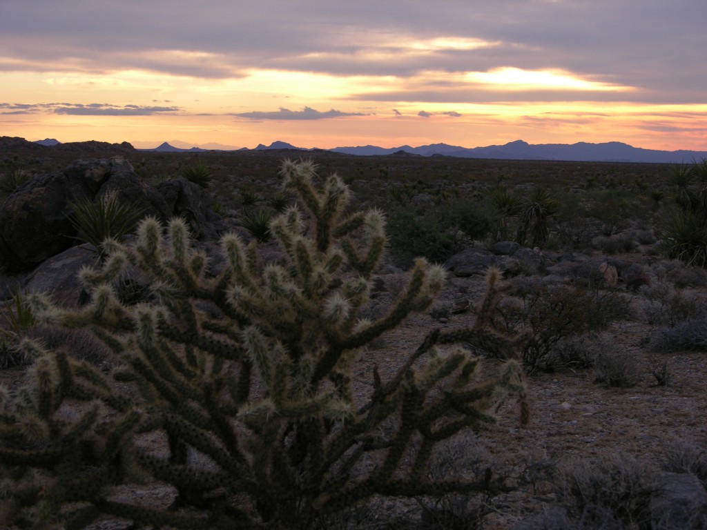 dscn2689.jpg