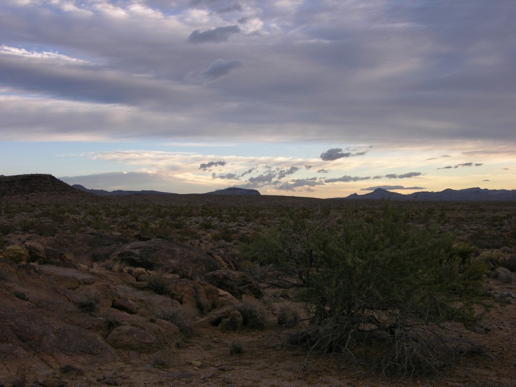 dscn2690.jpg