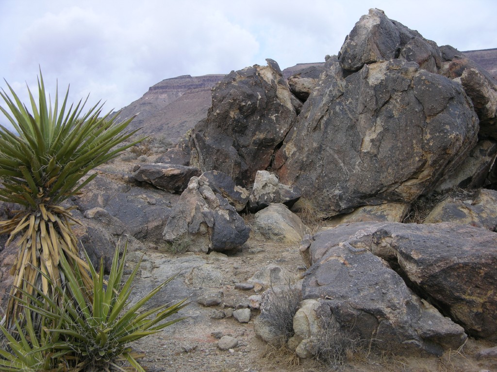 dscn2693.jpg