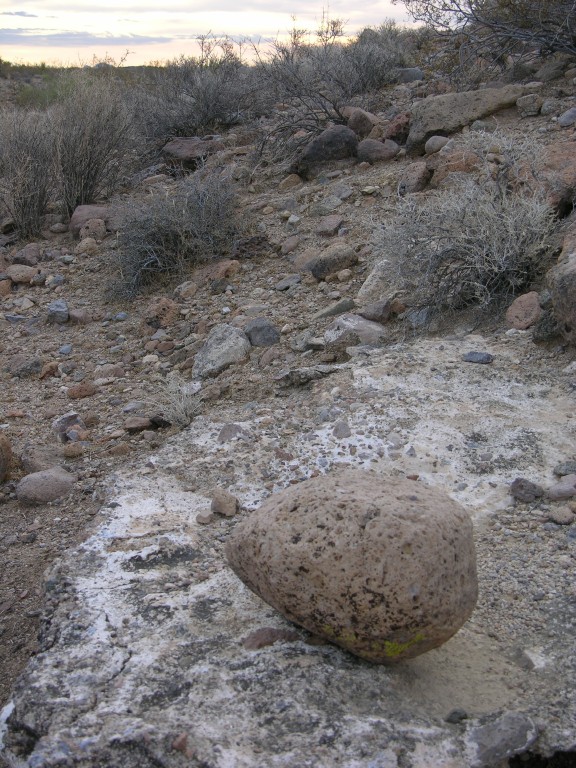 dscn2695.jpg
