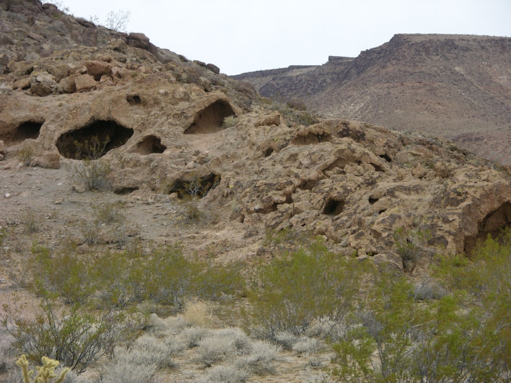 dscn2696.jpg