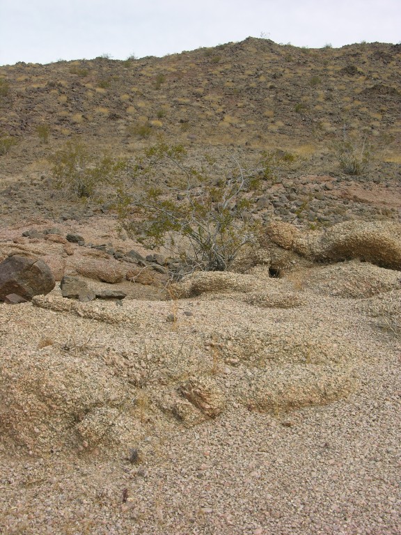 dscn2701.jpg