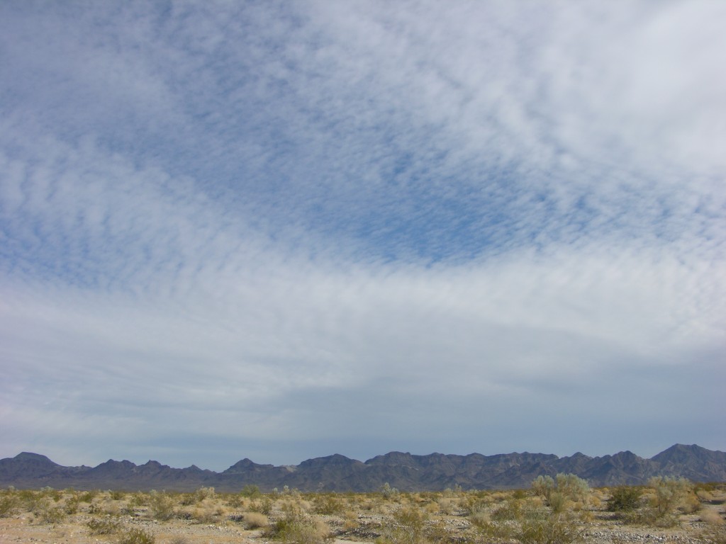 dscn2704.jpg