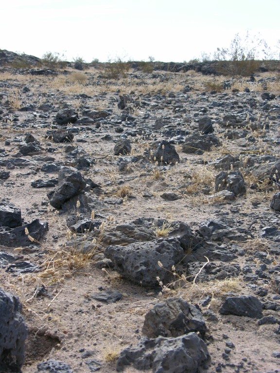 dscn2712.jpg