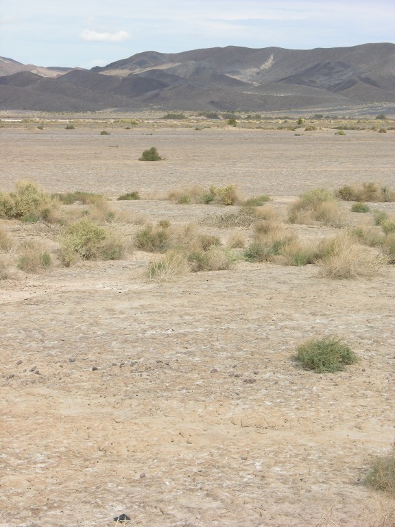 dscn2738.jpg