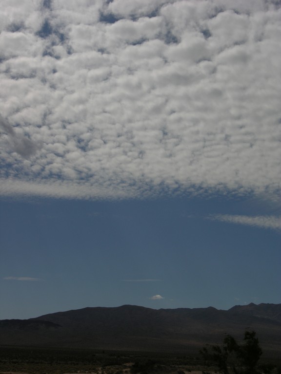 dscn2739.jpg