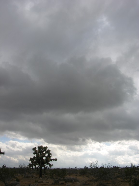 dscn2745.jpg