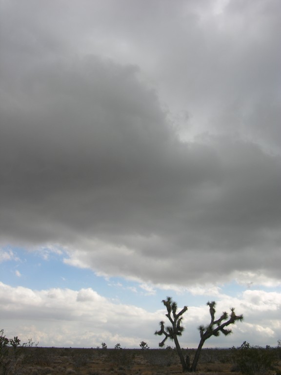 dscn2746.jpg