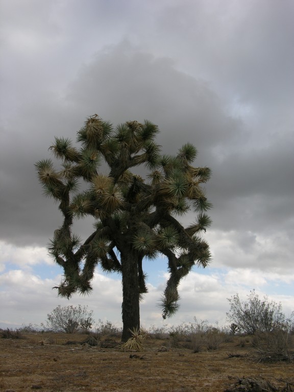 dscn2748.jpg